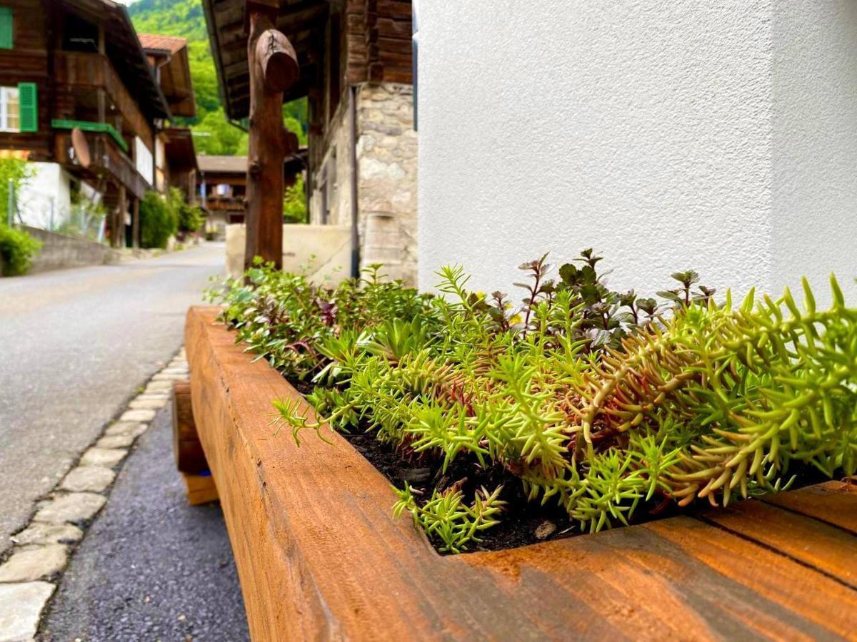 Beim Brunnen Appartement Gsteigwiler Buitenkant foto